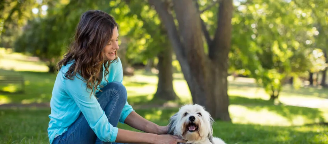 Vegane Hundeernährung: Was sagt die Wissenschaft?