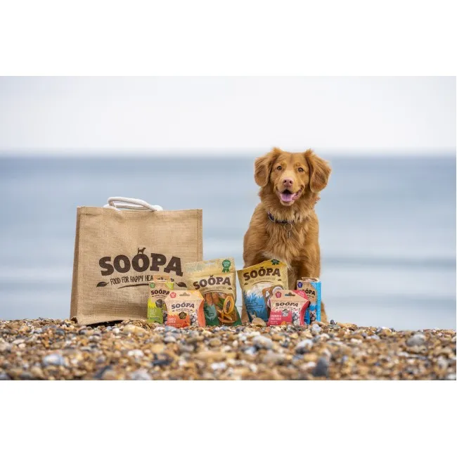 Soopa Bites APFEL & HEIDELBEERE