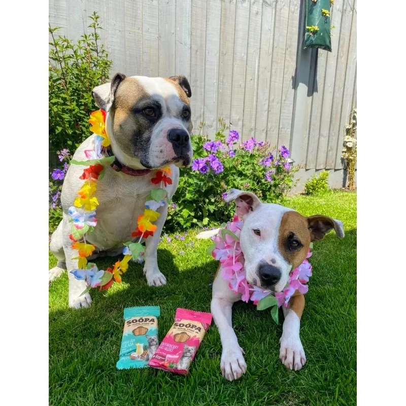 Soopa Dentals Erdbeere Dog-Quiri