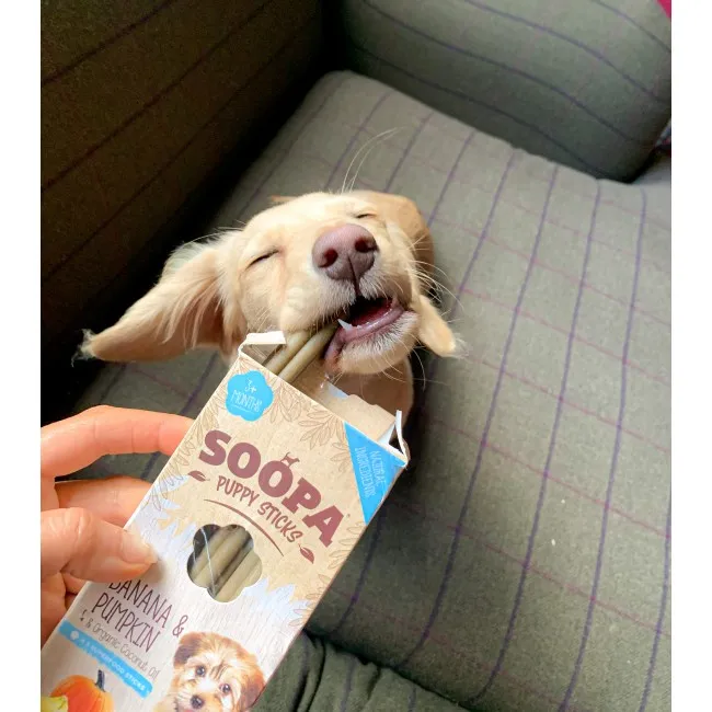Soopa PUPPY Dentals BANANE & KÜRBIS