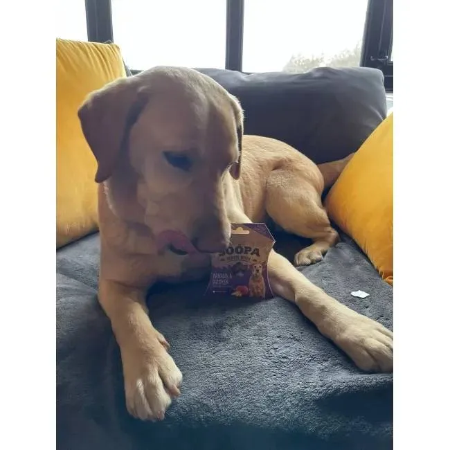 Soopa SENIOR Bites BANAN & KÜRBIS