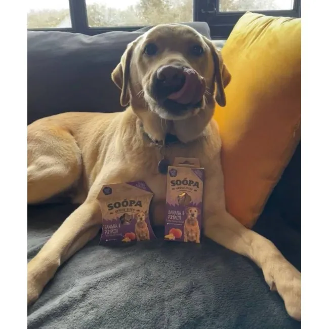 Soopa SENIOR Bites BANAN & KÜRBIS