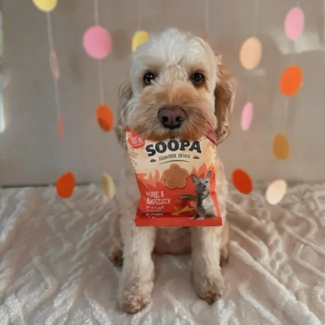 Soopa Bites MANGO & HIMBEERE