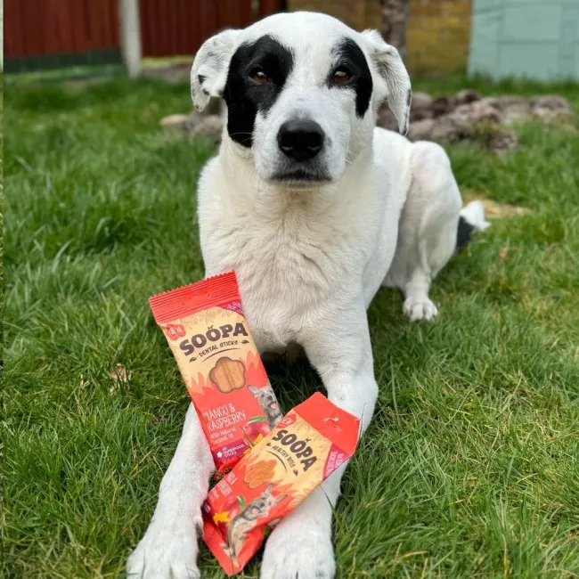 Soopa Bites MANGO & HIMBEERE