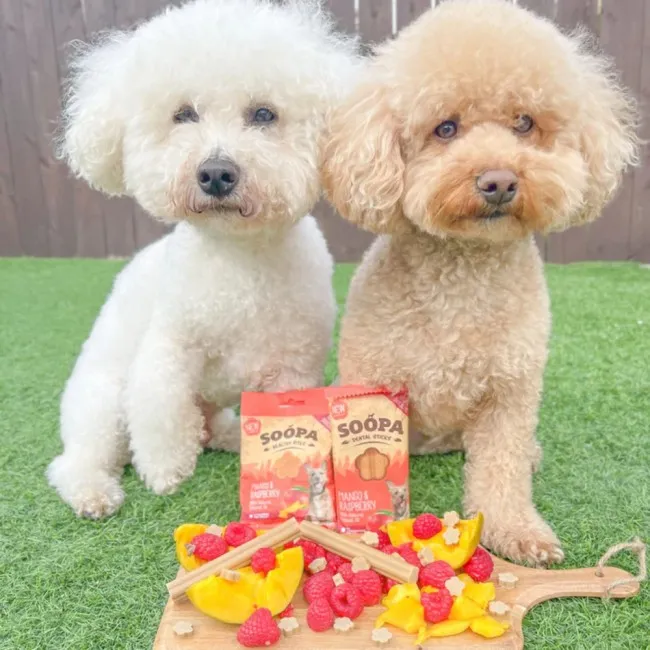 Soopa Dentals MANGO & HIMBEERE