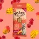 Soopa Dentals MANGO & HIMBEERE