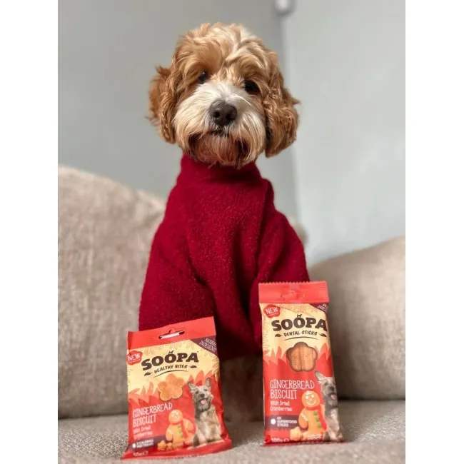 Soopa Dentals INGWER-KEKSE