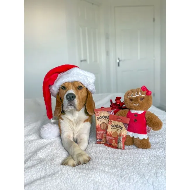 Soopa Dentals INGWER-KEKSE