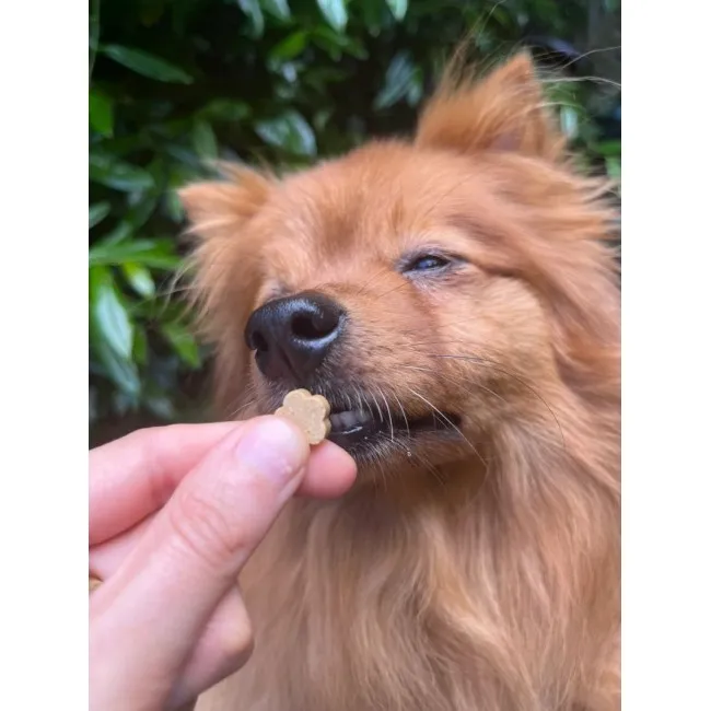 Soopa MINI Bites BANANE & KÜRBIS