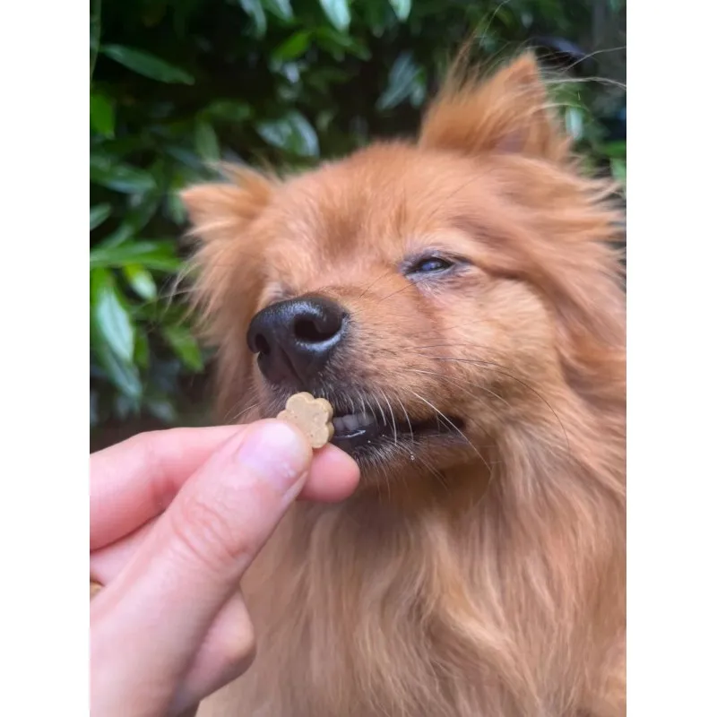 Soopa MINI Bites BANANE & KÜRBIS