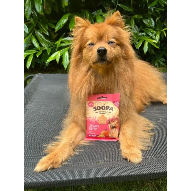 Soopa MINI Bites BANANE & KÜRBIS